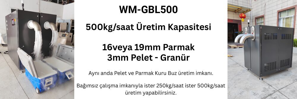 WM GBL500